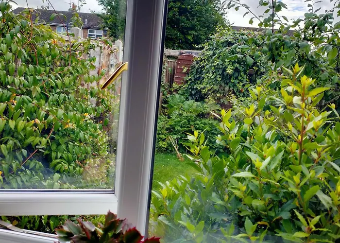 The Garden Room